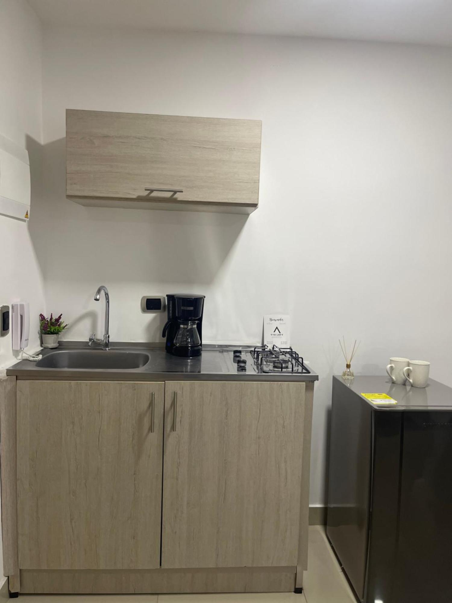 110 Loft Appart hôtel *